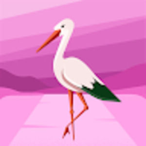 Meet your Posher, Ann